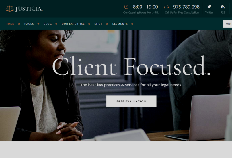 LAWYER WEB (2)